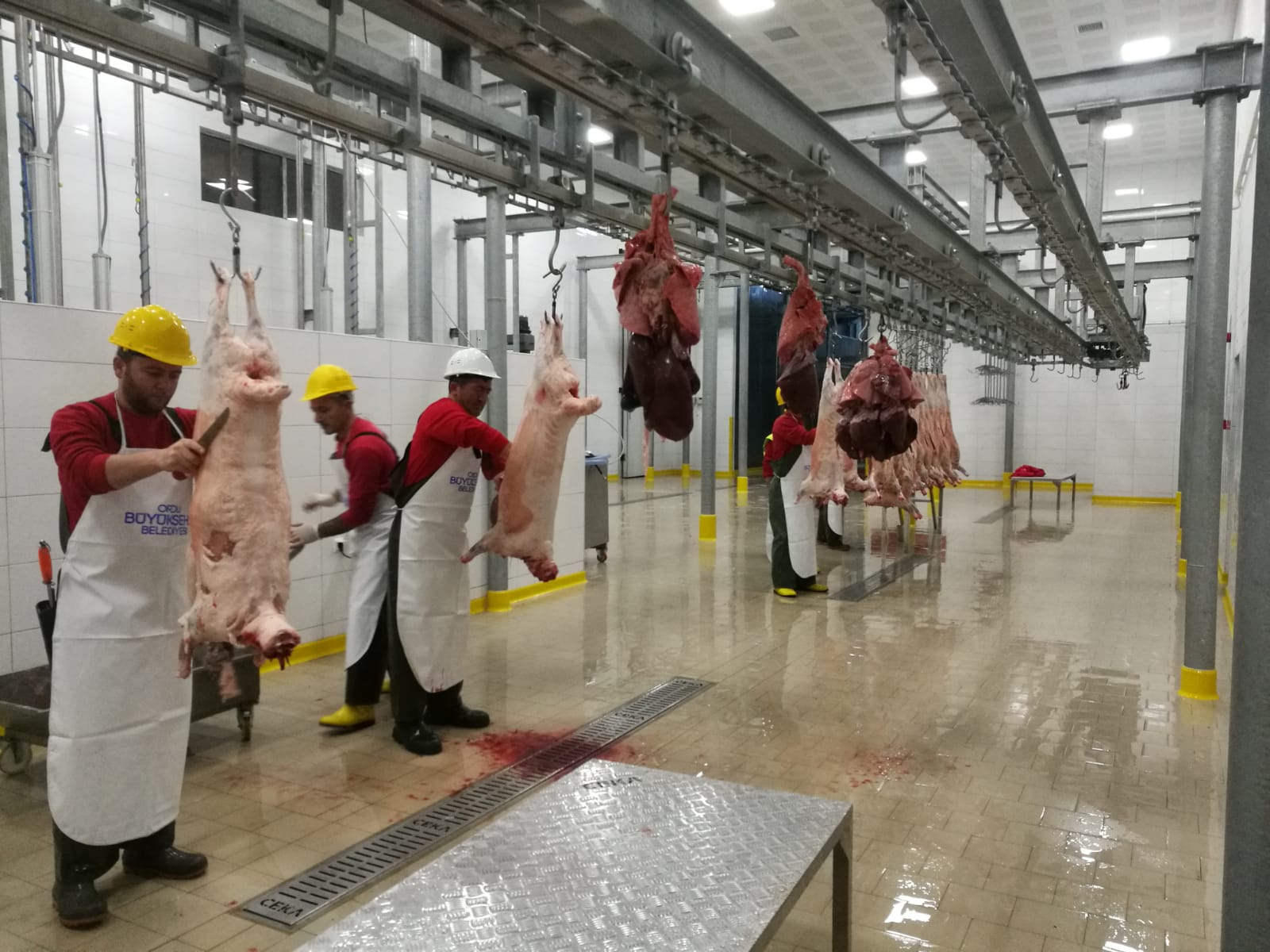 ORDU VE İLÇELERİ KURBAN KESİMİ, SATIŞI İÇİN HAZIR