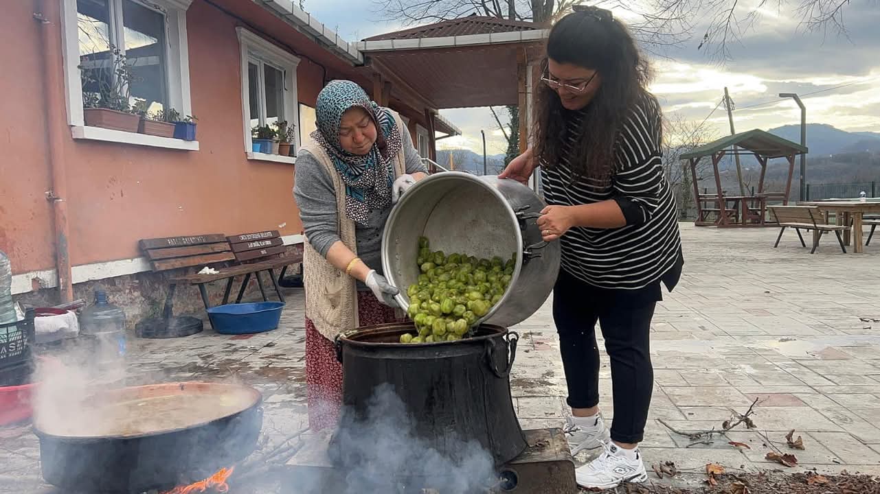 FATSA'DA KİVİ EKŞİSİ ÜRETİMİ BAŞLADI