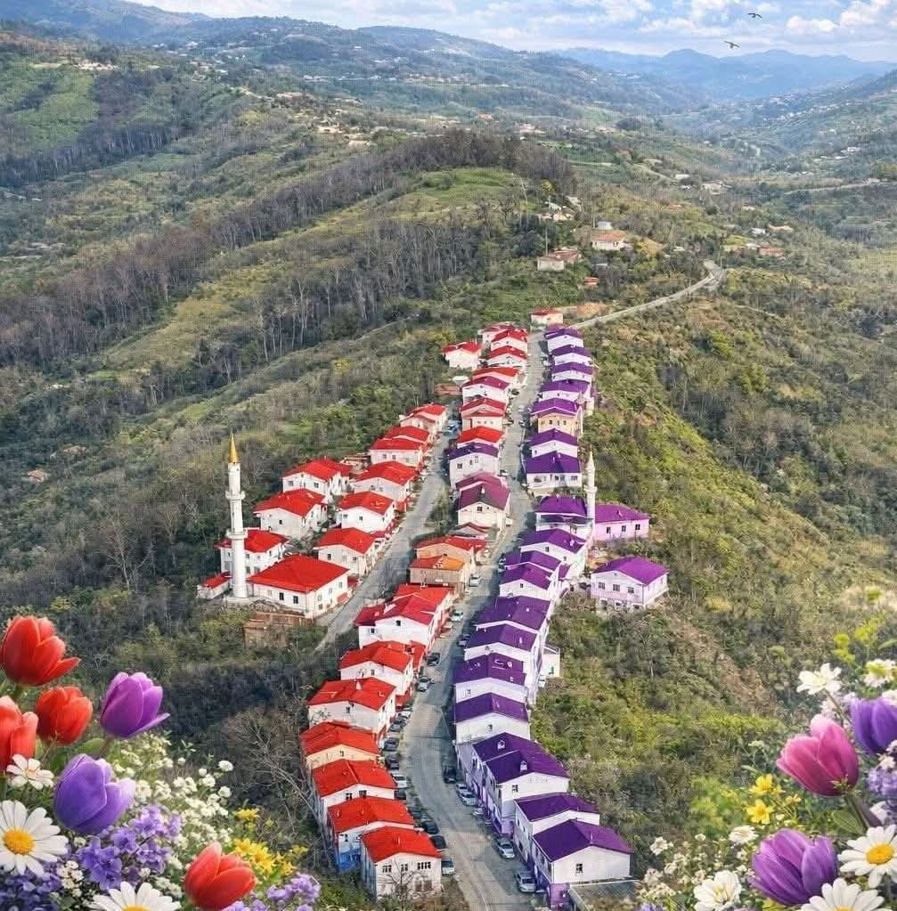 YARISI ORDU'YA YARISI SAMSUN'A BAĞLI